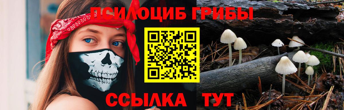 Галлюциногенные грибы MAGIC MUSHROOMS  Вход с VPN  Семилуки 